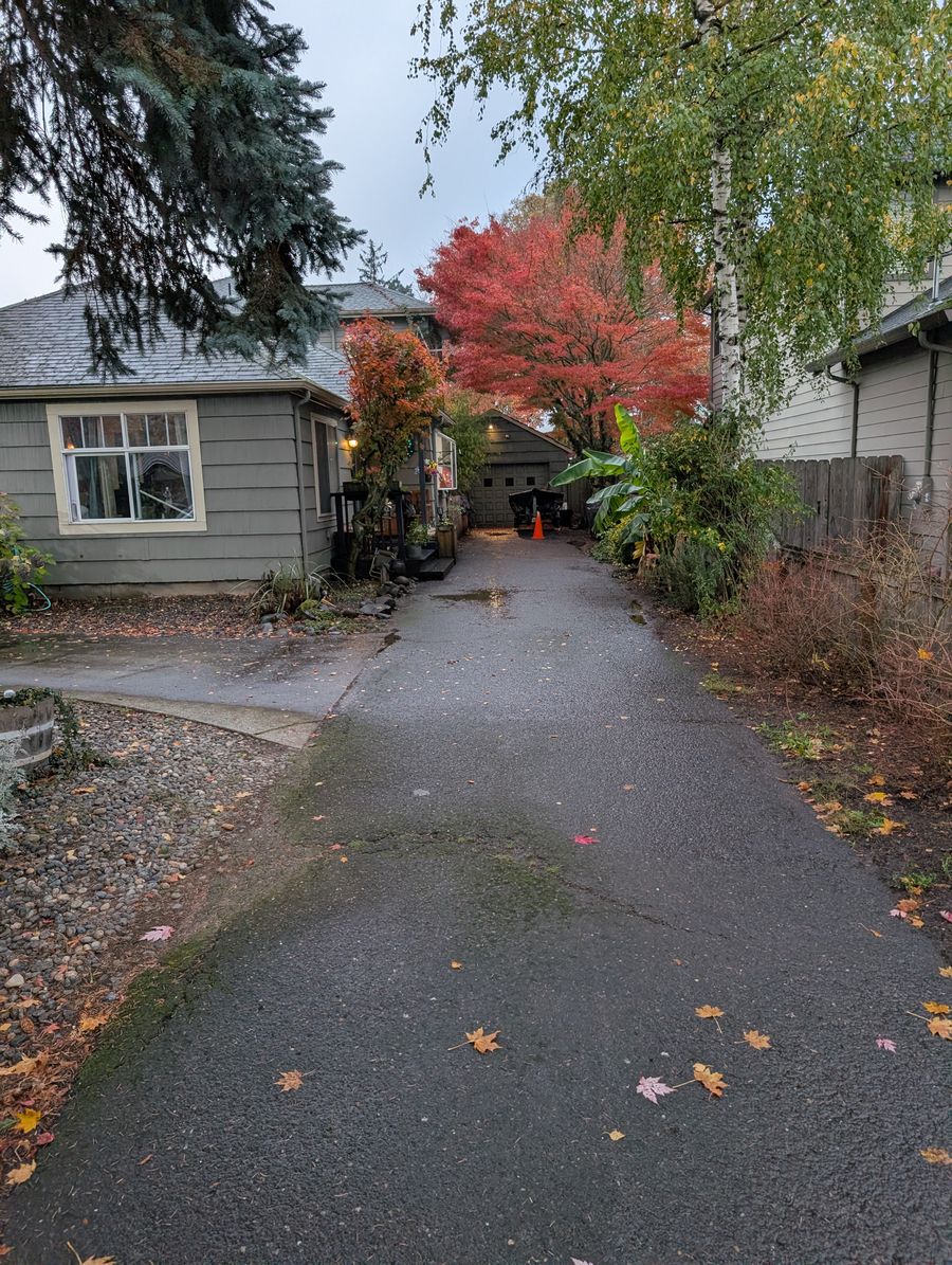 Driveway covered in moss and grime before pressure washing